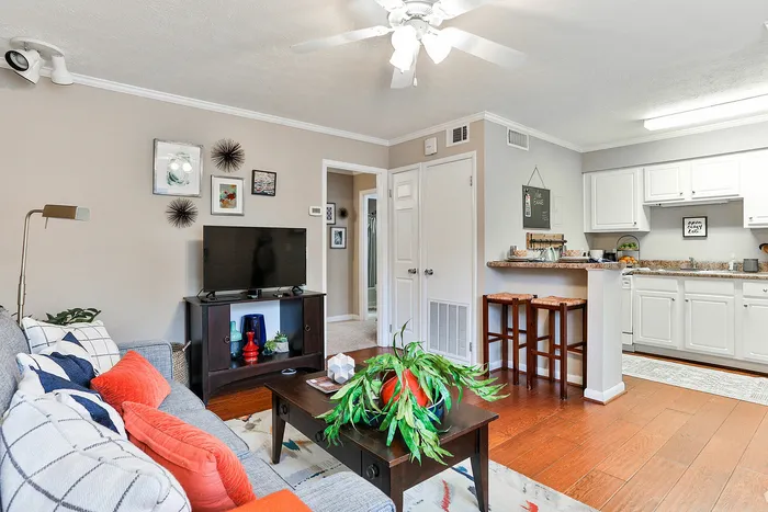 Inviting living room with cozy seating, vibrant decor, and an open kitchen layout, perfect for entertaining.
