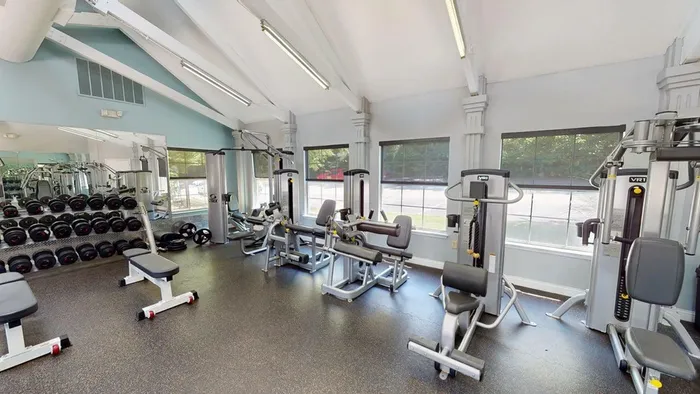 Modern fitness center with state-of-the-art exercise equipment, free weights, and large windows offering natural light.