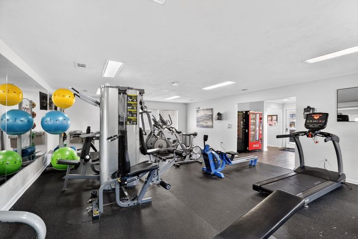 Modern apartment gym equipped with state-of-the-art fitness machines, colorful exercise balls, and ample space for a dynamic workout session.