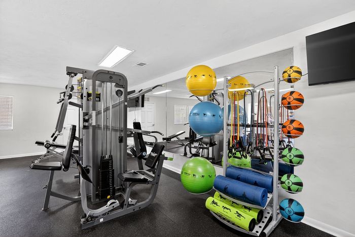 Modern fitness center featuring state-of-the-art equipment, colorful exercise balls, and vibrant medicine balls for dynamic workout sessions.