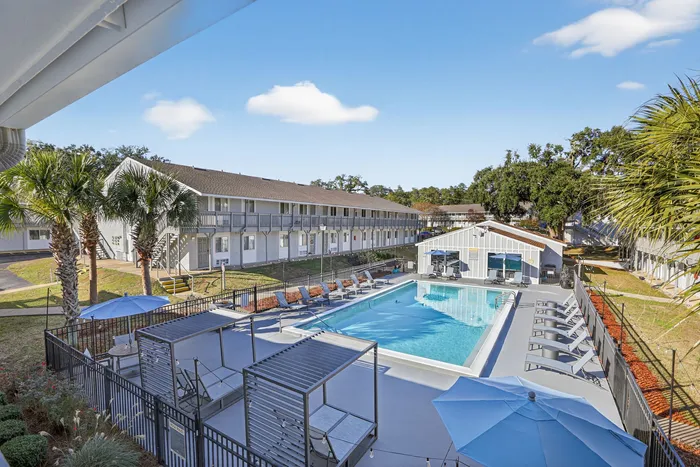 Modern apartment complex with a sunlit pool surrounded by lounge chairs, lush palm trees, and spacious balconies.