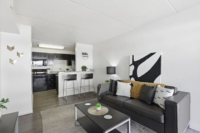 Modern open-concept living area with sleek black furnishings and a stylish kitchen bar, perfect for cozy gatherings.