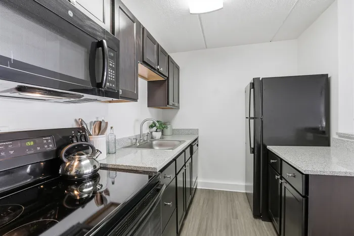 Modern kitchen with sleek dark cabinets, granite countertops, and stainless steel appliances, offering a stylish and functional space.