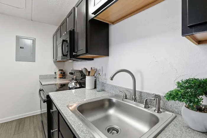 Modern kitchen with sleek granite countertops, stainless steel sink, and elegant dark cabinets. Equipped with contemporary appliances.