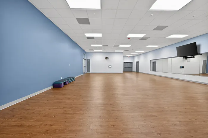 Spacious fitness studio with elegant wooden floors, mirrored walls, and modern ceiling lighting, perfect for dynamic workouts.