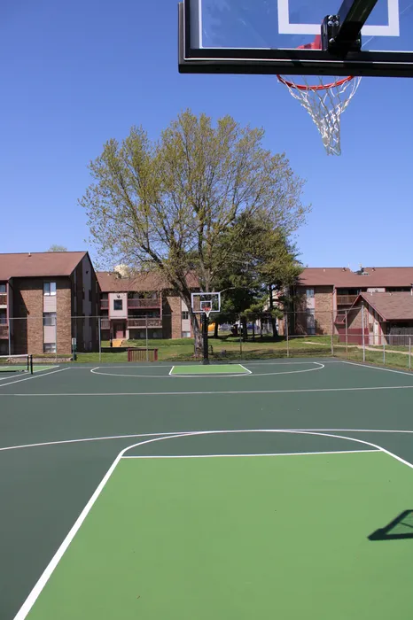Basketball court with vibrant green markings, surrounded by trees and apartment buildings, offering recreational amenities in a professionally managed community