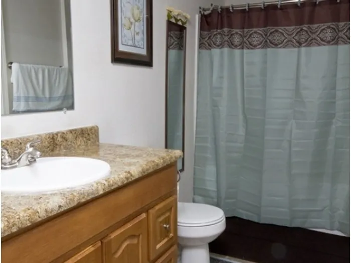 A small bathroom with a granite countertop, wooden cabinet, white sink, and toilet. A blue and brown shower curtain hangs beside a framed picture.