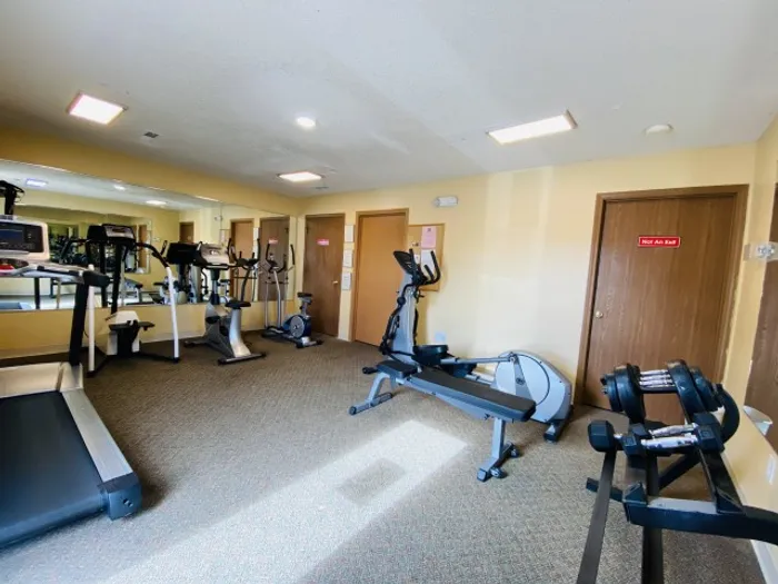 Fully equipped gym room with treadmills, elliptical machines, and weights, set on carpeted floors with wall mirrors and natural lighting.