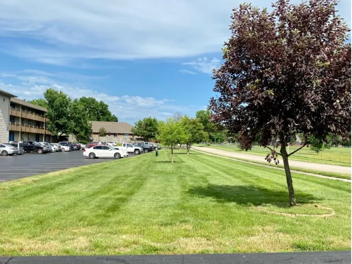 Well-maintained grassy lawn bordered by a blacktop parking lot, with trees lining the background under a partly cloudy sky.