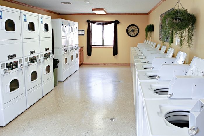 Clean, well-lit laundry facility with multiple washers, dryers, natural light, and decorative touches, offering convenience in a professionally managed apartment community.