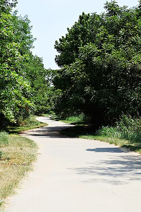 Access to Springfield&rsquo;s scenic Greenway Trail system near Lakewood Village Apartments, ideal for walking, jogging, and biking through lush greenery.