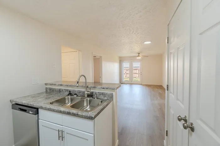 Open-concept layout showing the kitchen sink with dual basins, a bar-height counter, and a view into the spacious living area with backyard access.