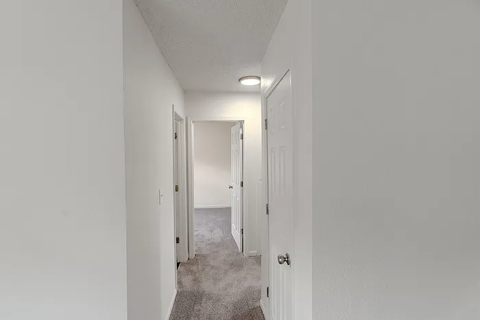 Hallway at Village Club Apartments in Springfield, MO, leading to bedrooms and bathroom, with plush carpeting and modern white trim.