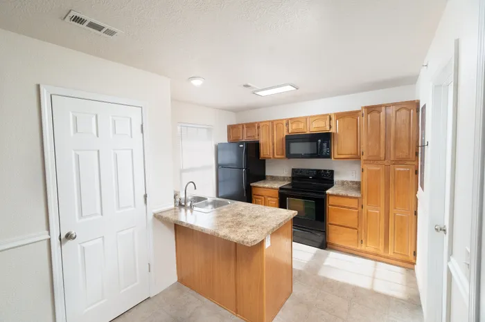 Bright and modern kitchen with elegant wooden cabinets, sleek countertops, and high-quality black appliances.