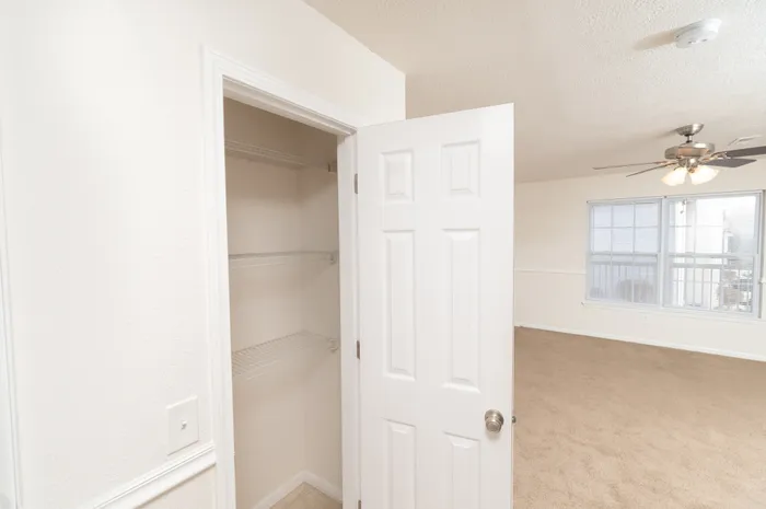 Open closet in a studio apartment featuring a white paneled door, wire shelving for storage, beige carpet flooring, and the main living/sleeping area visible with a ceiling fan and window providing natural light.