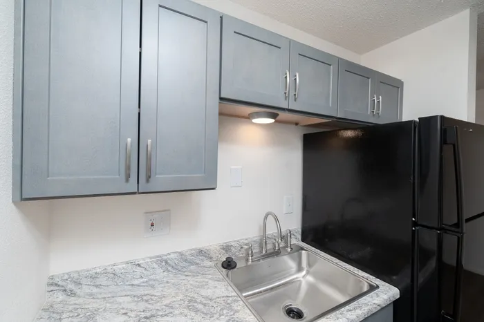 Modern kitchen with sleek gray cabinets, a stylish stainless steel sink, and contemporary black refrigerator.