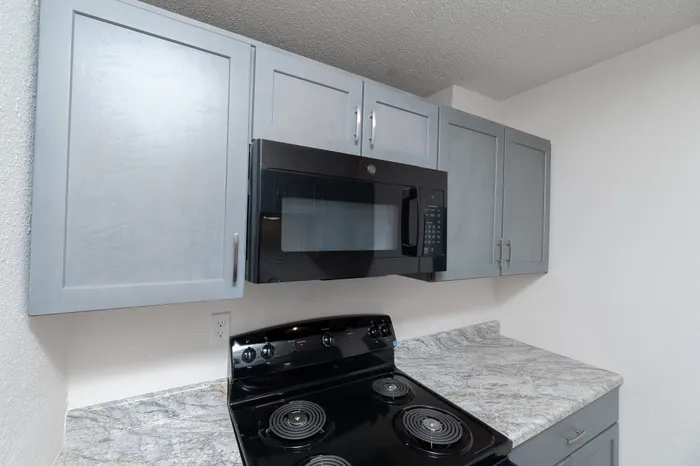 Contemporary kitchen with sleek cabinetry, modern black appliances, and elegant granite countertops.