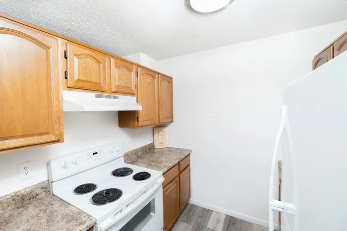 Compact kitchen with wood cabinetry, laminate countertops, white electric range, range hood, and wood-style flooring at Seminole North Apartments.