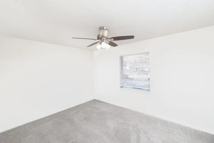 Bright, airy room featuring a modern ceiling fan, plush grey carpet, and a large window inviting natural light.