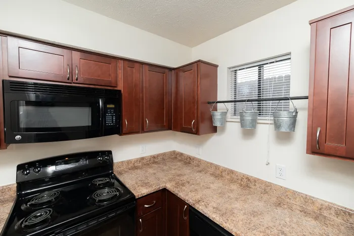 Kitchen featuring double-basin sink, black electric range, built-in microwave, and dark cabinetry.