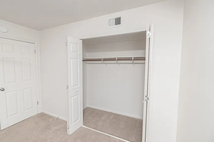 Walk-in style closet with carpet flooring, hanging rod, and shelf for organized storage space.