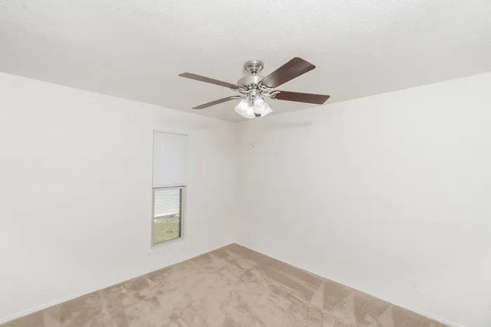 Bright bedroom with ceiling fan, carpet flooring, and window with natural light and blinds