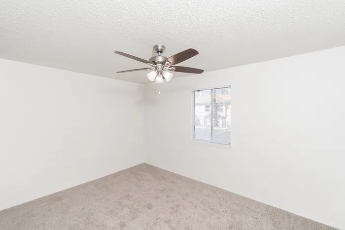 Bright and spacious bedroom with plush carpet, modern ceiling fan, and ample natural light from a large window.