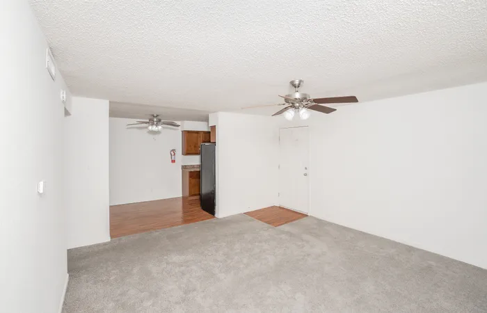 Spacious living room interior at Rosewood Village Apartments with plush gray carpeting, bright white walls, ceiling fan lighting, and open layout connecting to kitchen and entryway.