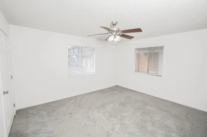 Large bedroom interior at Rosewood Village Apartments with plush carpeting, ceiling fan lighting, dual windows with blinds, and bright neutral walls creating an open and comfortable space.