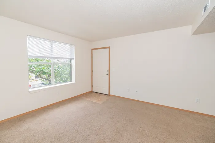 Bright and inviting room with a large window, soft carpeting, and neutral walls, perfect for customization.