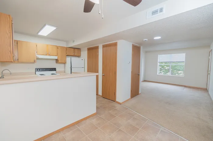 Bright and spacious apartment with an open kitchen and living area, featuring modern appliances and large windows that invite natural light.