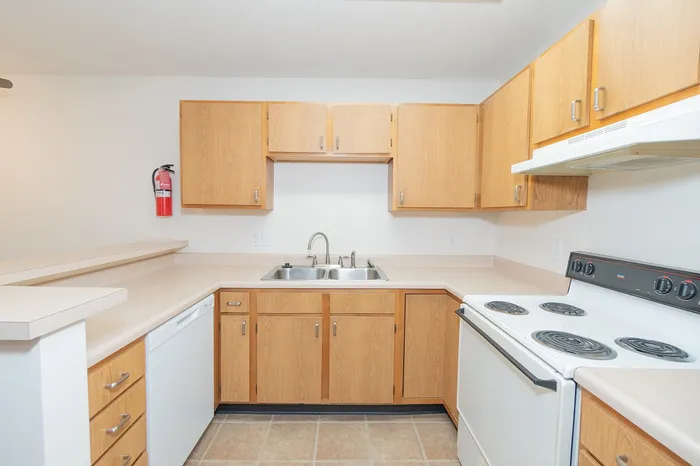 Contemporary kitchen with ample cabinet space, dual sinks, modern appliances, and sleek countertops.