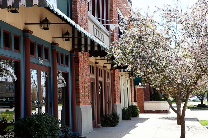 Charming tree-lined sidewalk in front of rustic brick storefronts with vintage awnings, offering a quaint and inviting atmosphere.