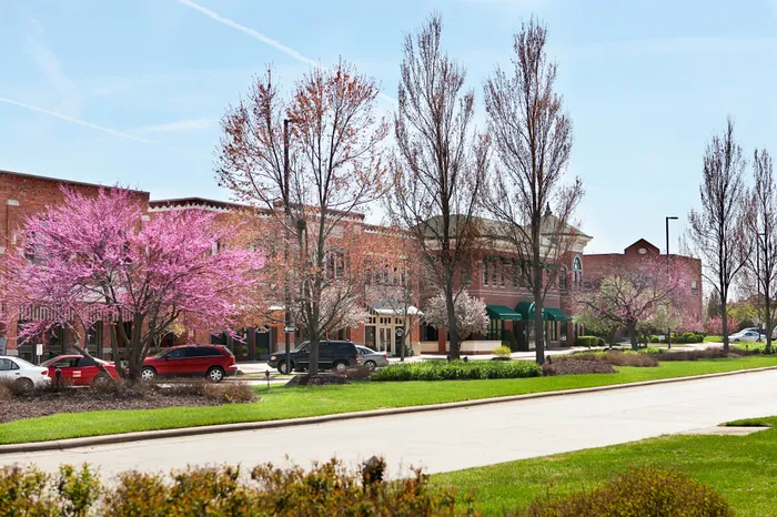 Charming street view with vibrant spring blossoms and stylish brick buildings, creating a picturesque neighborhood atmosphere.