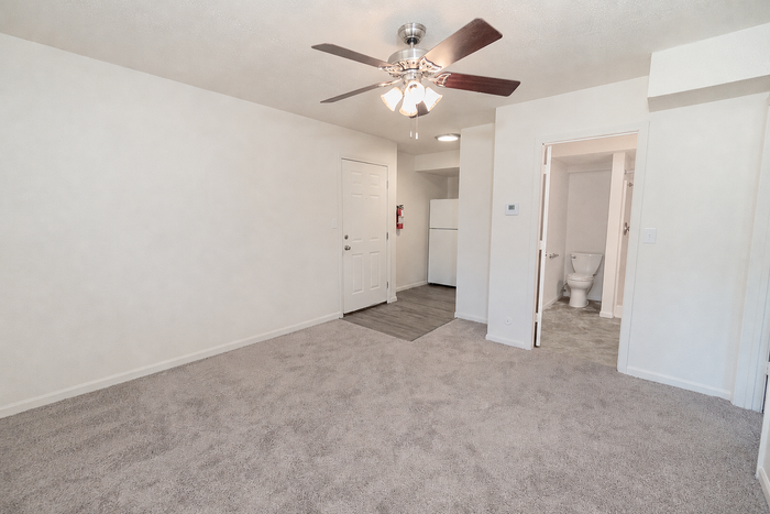 Bright apartment interior featuring plush carpeted floors, ceiling fan, and modern living space with kitchen and bathroom access.