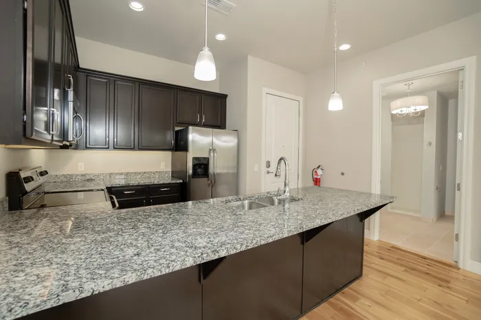 Modern kitchen featuring sleek granite countertops, stainless steel appliances, and elegant pendant lighting for a stylish culinary space.