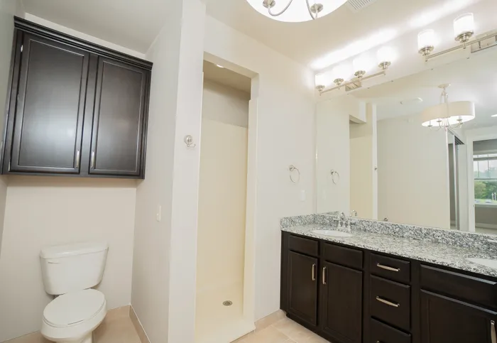 Modern bathroom with granite countertops, dark wood cabinets, sleek lighting, and a spacious shower area.