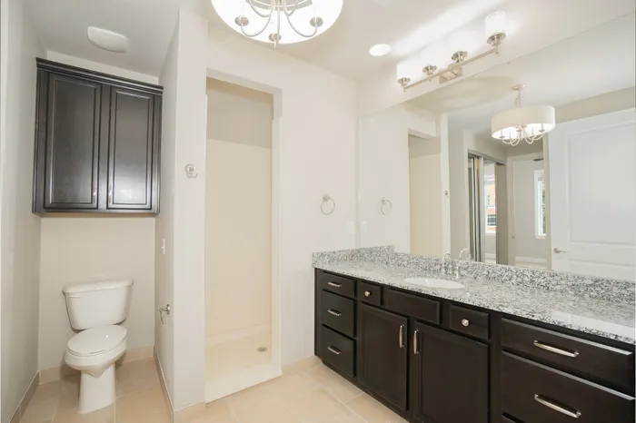 Modern bathroom with elegant lighting, dark wood cabinets, granite countertops, and a walk-in shower.