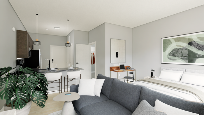 Standard - Bed/Living Room
