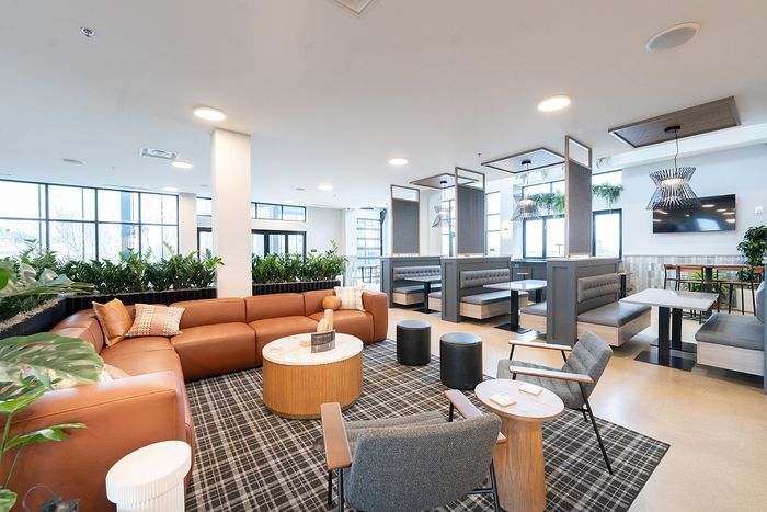 Inviting apartment lounge with contemporary seating, stylish decor, and ample lighting.