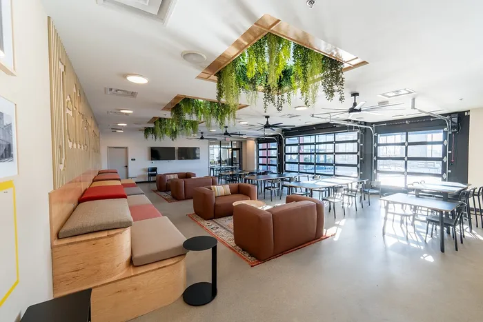 Bright and modern lounge area with greenery, cozy seating, and large windows.