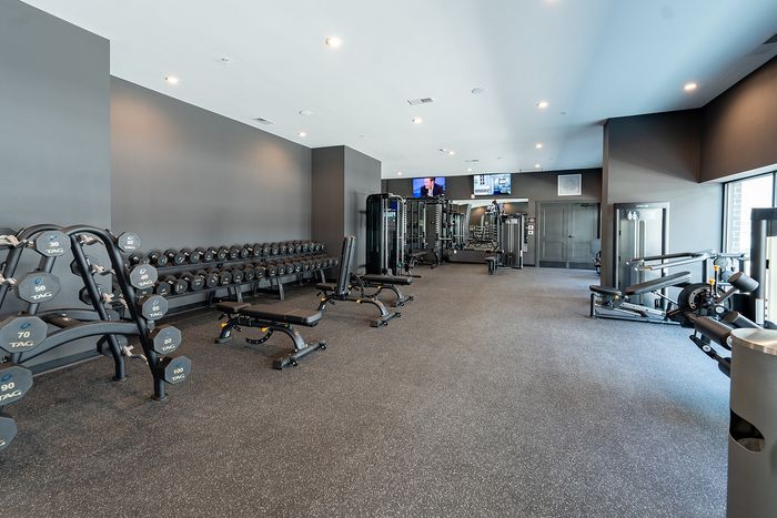 Modern fitness center with a range of exercise equipment including weights and cardio machines, offering a bright and spacious workout environment.