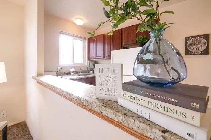 Granite Counters & Cut-Through