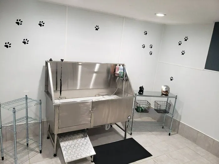 Pet Spa  at Bay Crossings; Apartments In Tampa