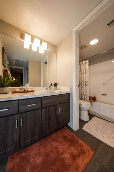 Cala Paradise Valley | Phoenix, AZ | Espresso Bathroom