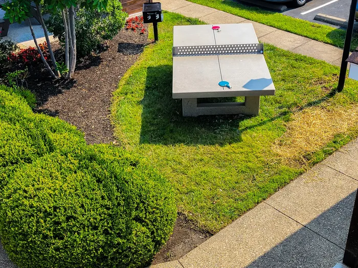 Tanglewood Apartments | Louisville, KY | Outdoor Ping Pong