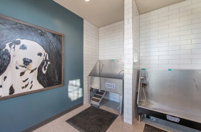 Paw Spa Pet Wash | Peakline at Copperleaf | Aurora Apartments