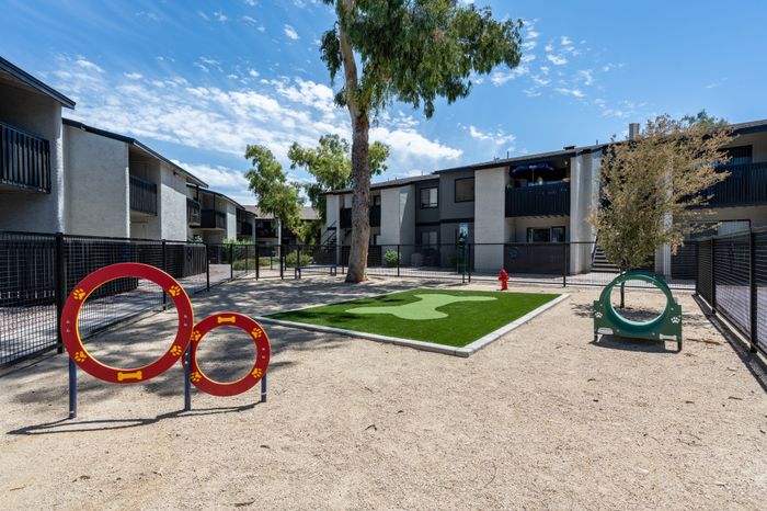 Cala Paradise Valley | Phoenix, AZ | Bark Park
