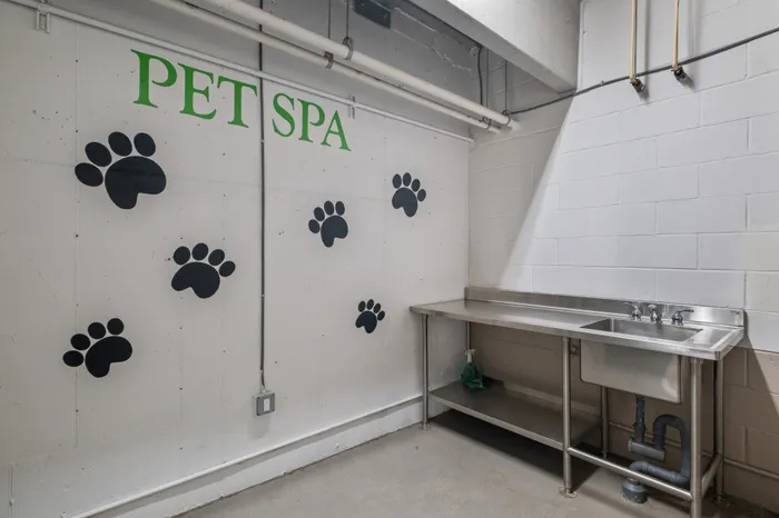 The Shelby | Alexandria, VA | Pet Spa