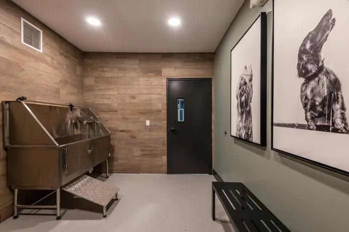 Maven on Broadway | Sacramento, CA | Pet Spa
